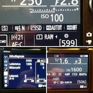 Nikon D500