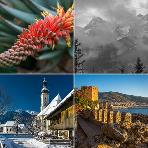 5 beste Fotos 2016