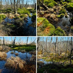 Sammelalbum_3