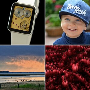 5 beste Bilder 2016