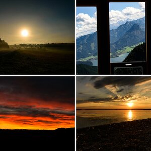 NFF beste Bilder 2016