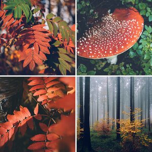 Herbstfarben