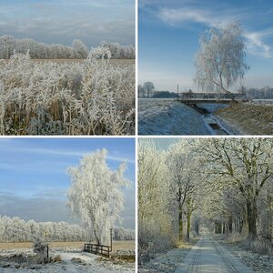 Winterlandschaft
