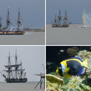 Bordeaux La Rochelle 2015