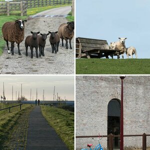 NL - Friesland