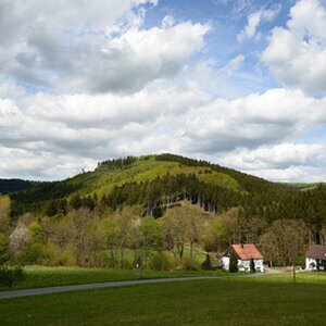Freienohl