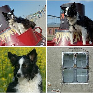 Ostsee-Tagebuch