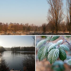 Rheinaue Duisburg-Walsum