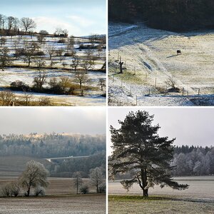Feld, Wald und Flur 2