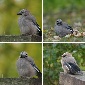 Beitragsbilder
