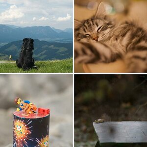 Allerlei Bilder
