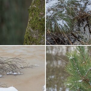 Pietzmoor im Winter Teil 2