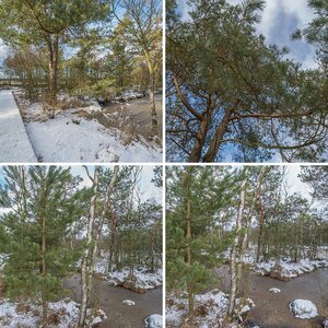 Pietzmoor im Winter Teil 3