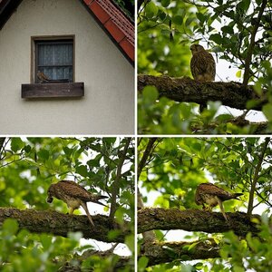 Urlaub Waldbreitbach