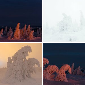 Winterstimmung auf dem Brocken