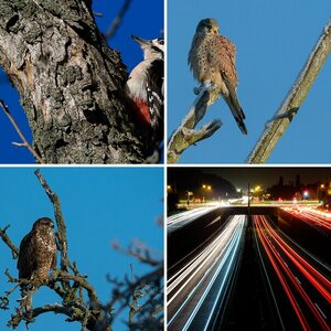 Lieblingsbilder 2016