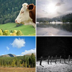 Steiermark 2015