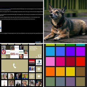 Problembilder Diskussionsbilder II