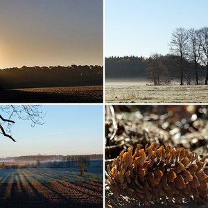 Morgenstimmung