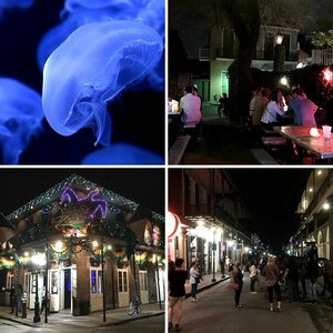 New Orleans