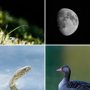 Nikon AF-S 200-400 f4 VR I