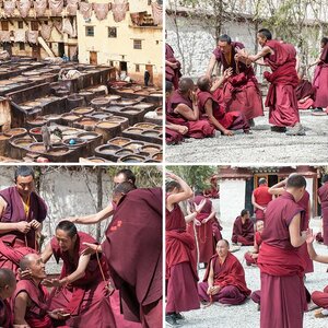 Tibet