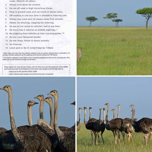 Masai Mara Juni 2015   III