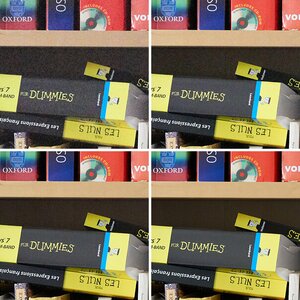 D4s vs. D810