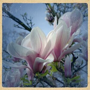 Bilder-Natur
