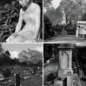 23.03.2014 Melatenfriedhof Köln