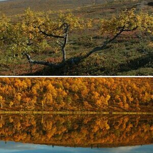 UKK Finnland