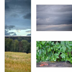 Morgen