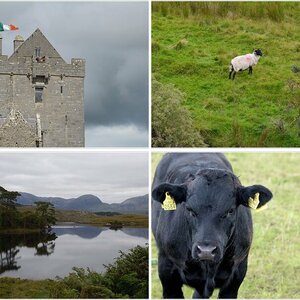 Irland_2015