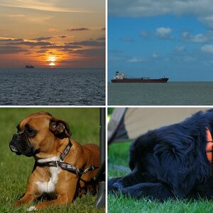 Osterurlaub Burgh Haamstede