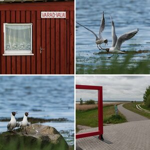 Zingst 2017