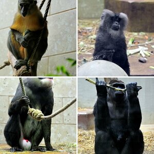 Ein Tag im Wuppertaler Zoo
