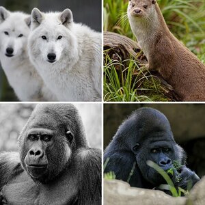 Tierparks