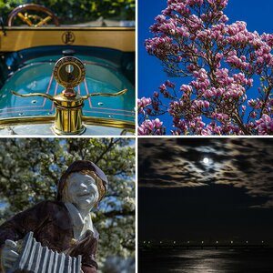 Fotos mit Sony Alpha 7 und Alpha 6000