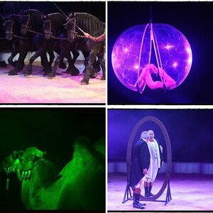 Zirkus Busch