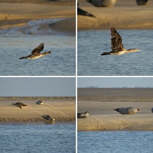 Osterurlaub Burgh Haamstede - Album 2