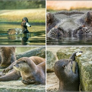 V3 - Die Bilder