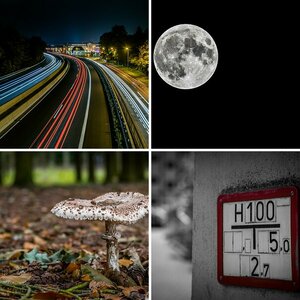 Meine Bilder