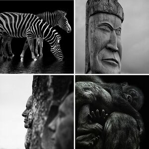 Ich fotografiere schwarzweis (S/W)