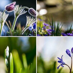 Botanischer Garten