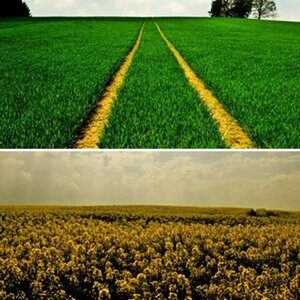 Landschaft