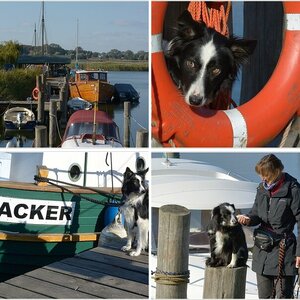 Paddys Ostsee-Tagebuch 2015