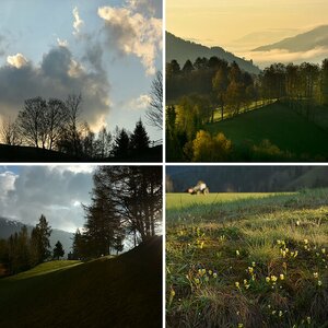 Steiermark 2014