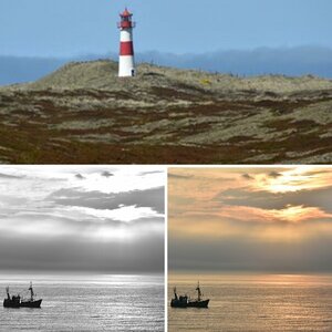 Sylt