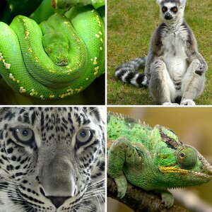 Zoobesuch