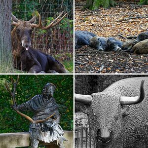 Tierpark